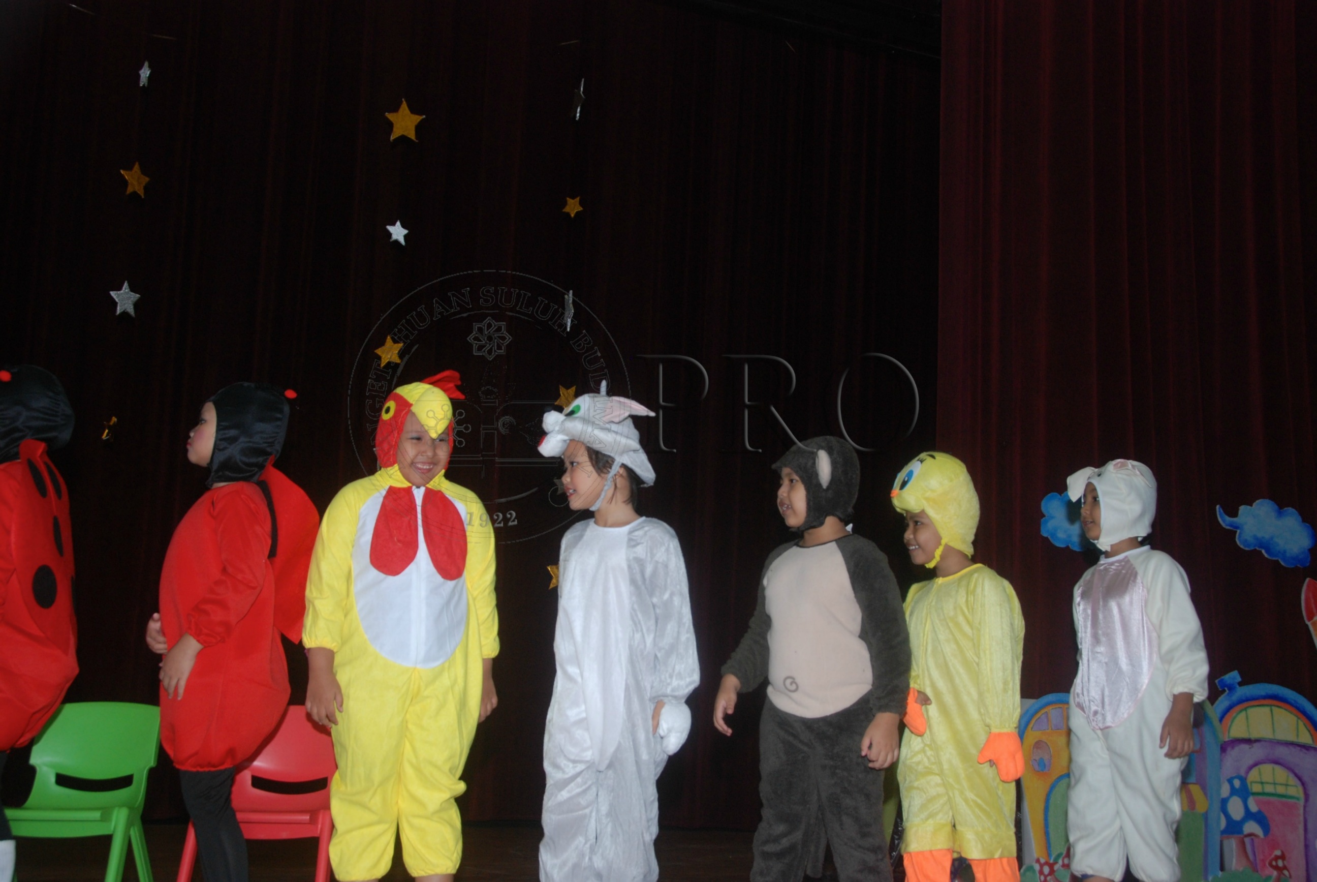 PRO 12 126 pkkk DSC 7516